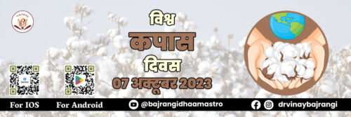 07-Oct-2023-World-Cotton-Day-900-300-hindi
