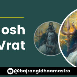 festival-banner-10-Dec-2023-Ravi-Pradosh-Vrat-900-300